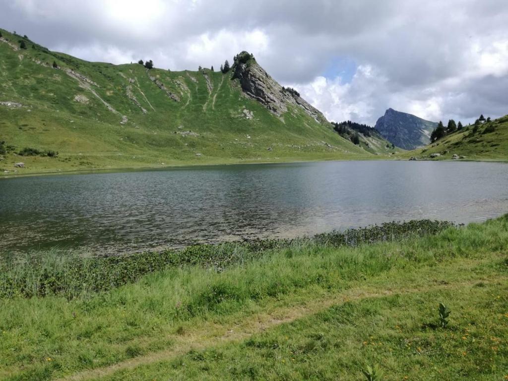 Le Genepi Daire Taninges Dış mekan fotoğraf