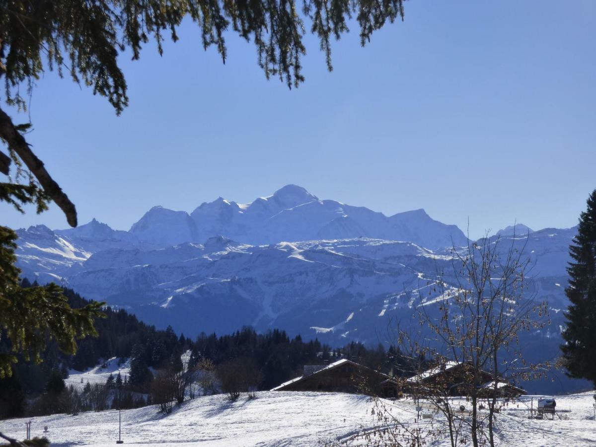 Le Genepi Daire Taninges Dış mekan fotoğraf