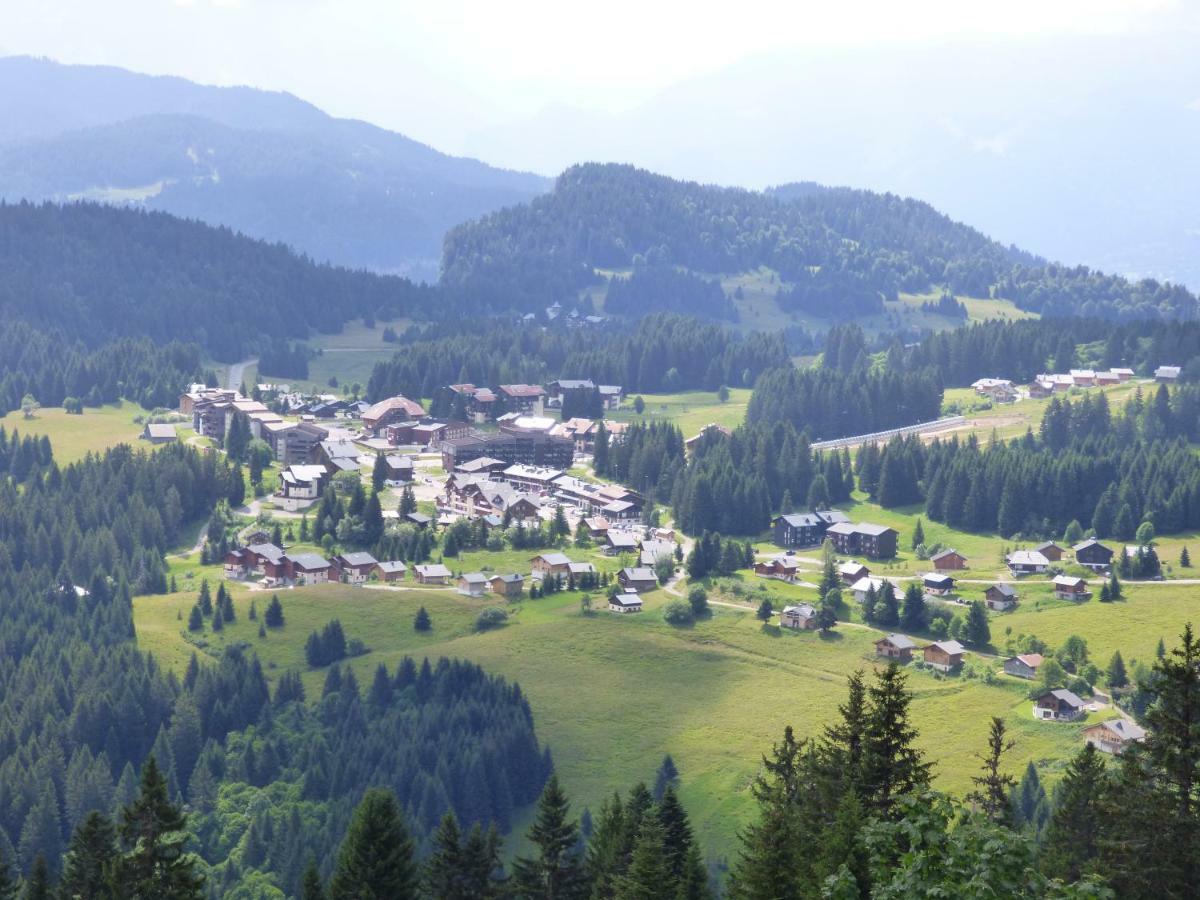 Le Genepi Daire Taninges Dış mekan fotoğraf
