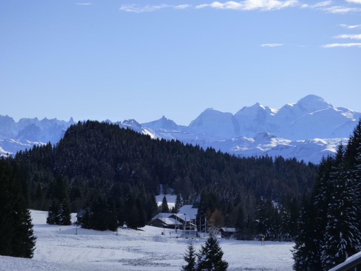 Le Genepi Daire Taninges Dış mekan fotoğraf