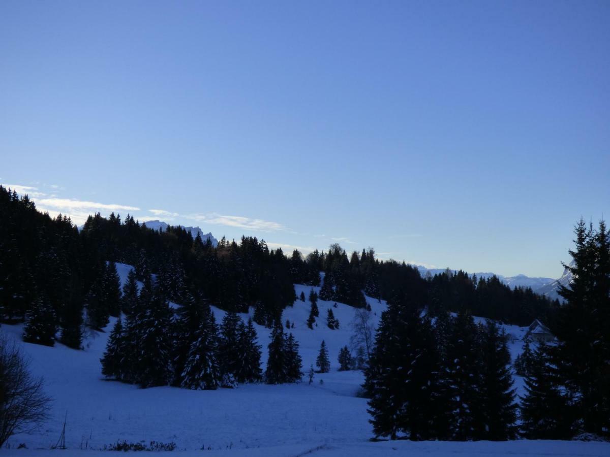 Le Genepi Daire Taninges Dış mekan fotoğraf